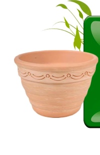 ΤΟΣΚΑΝΗΣ ΕΠΙΜΑΡΜΑΡΩΜΕΝΗ